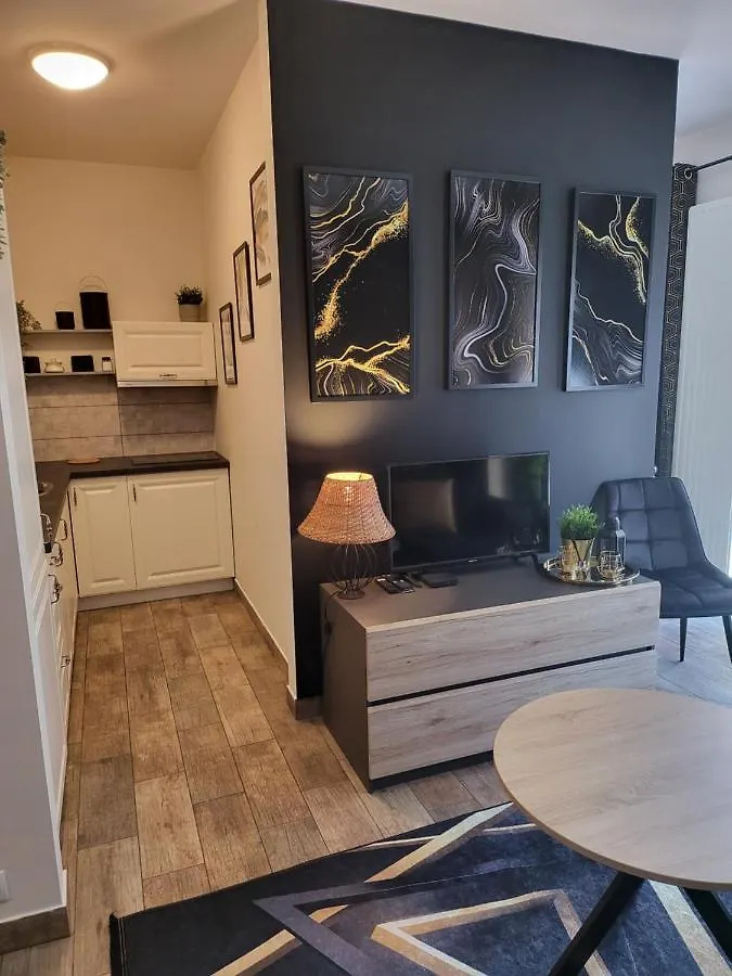 Moon Apartments Posen